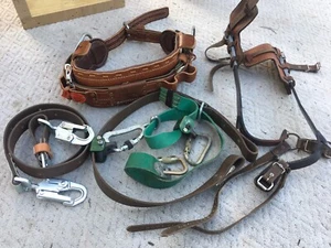 Buckingham lineman climbing gear set w/488 R/DWDC SZ 20,22,23,24,25 28 - Picture 1 of 7
