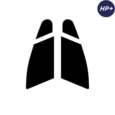 Para Peugeot 308 Estate 2008-2013 Carbono Pre Corte Ventana Tinte Frontal Premium HP+ Foto 1 de 4