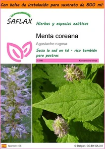 SAFLAX Garden in the Bag - Menta coreana - 1200 semillas - Agastache - Imagen 1 de 9