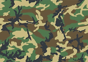 An A4 Army Camo camouflage (green) Cake Topper ICING - Picture 1 of 1