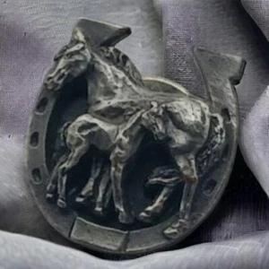 Horshoe pin - Picture 1 of 4