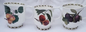 3 tazas de flores de fruta hortícolas Queen's Hooker's Fruit Bone China - Imagen 1 de 10