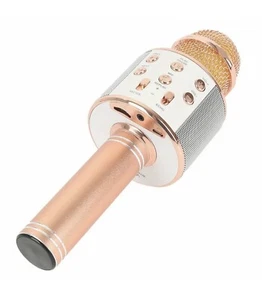 Wireless Bluetooth Hi-Fi KTV Karaoke microfono Speaker portatile, ramato ws-858 - Foto 1 di 6