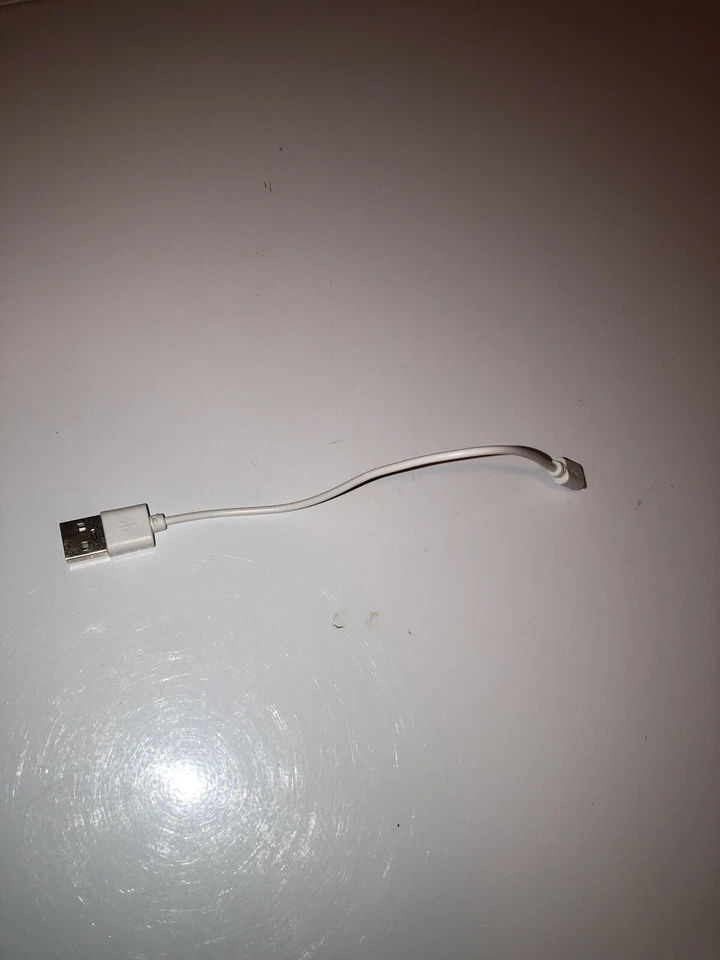 Cable de carga micro USB blanco de 8 pulgadas para altavoces y auriculares Foto 1 de 4