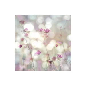 Stampa su Tela su Carta Poster o Quadro Carrigan Kate Floral Meadow II - Picture 1 of 2