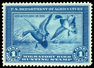 RW1 — 1934 Federal duck stamp, XF no gum - Picture 1 of 1