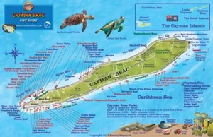 Cayman Brac Tauchkarte & Riff Kreaturen Guide wasserdicht Fischkarte Franko Karten - Bild 1 von 2