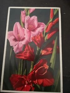 AK NICHT GEREIST - Bild 1 von 2