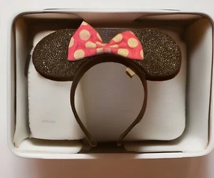 Minnie Mouse Ears and Minnie Flair Pin - Picture 1 of 9