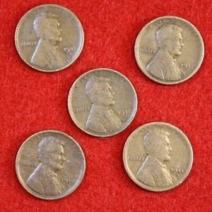 Centavo de trigo Lincoln 1911-D grupo de 5 monedas circuladas - Imagen 1 de 2