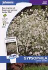 Johnsons Seeds - Pictorial Pack - Flower - Gypsophila Covent Garden - 1500 Seeds