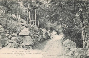 42 MONT PILAT CHEMIN SOUS BOIS - Bild 1 von 2