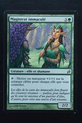 Magic The Gathering MTG IMMACULATE MAGISTRATE FRENCH Lorwyn LP Lightly Played - Image 1 of 2