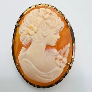 Biedermeier Gemme Brosche und Anhänger Silber Vergoldet Kamee Cameo Handarbeit - Bild 1 von 4