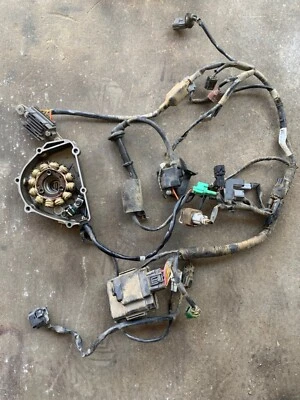 Kawasaki KX250F 2017 2018 2019 OEM CDI caja arnés cableado estator volante completo Foto 1 de 4
