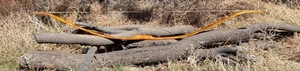 38 lbs 28" Draw NEW Osage Orange Recurve Reflex/Deflex Bow - Picture 1 of 13