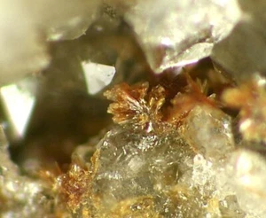 SCHNEEBERGITE from  Schneeberg, Germany  * TYPE LOCALITY SPECIMEN  * 1 cm - Picture 1 of 4