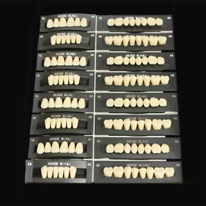 4 set protesi dentale in resina polimerica sintetica per denti finti T8,L8,34... - Foto 1 di 5
