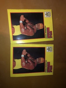 Libro para colorear HULK HOGAN 1991 WWF Superstars WWE SIN USAR de colección lote de 2 - Imagen 1 de 8