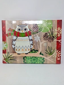 Lighted Winter Christmas Owl Picture By Jennifer Brinley - Picture 1 of 8