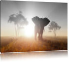 afrikanischer Elefant Leinwandbild Wanddeko Kunstdruck