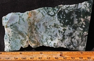S-585 ~ ágata musgo árbol blanco losa 3,5 oz ~ India - Imagen 1 de 8