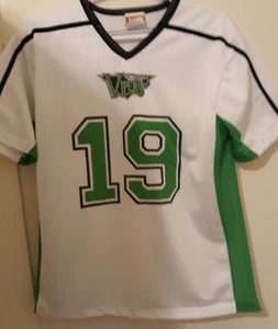 Alabama Tennessee Valley Vipers Arena Football Jersey Youth XL 18-20 - Picture 1 of 5