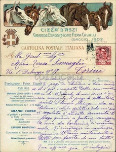 ASTI CITTA'-ESPOSIZIONE FIERA CAVALLI 1902-D17-27 - Picture 1 of 1