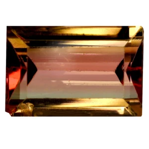 1.21 ct Octagon (8 x 5 mm) Unheated / Untreated Mozambique Bi-Color Tourmaline - Picture 1 of 2