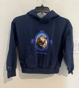 Nike Lebron James Niños Baloncesto Pullover Sudadera con Capucha León Retrato FJ6065 Talla S 8 - Imagen 1 de 7