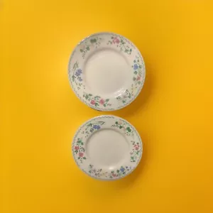 Farberware English Garden 6" Plates Set Of 2 DWK - Picture 1 of 2