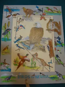 Birds of NAVADA Original art By Alexander Hasse 1981 size 28x22 inch - Picture 1 of 14