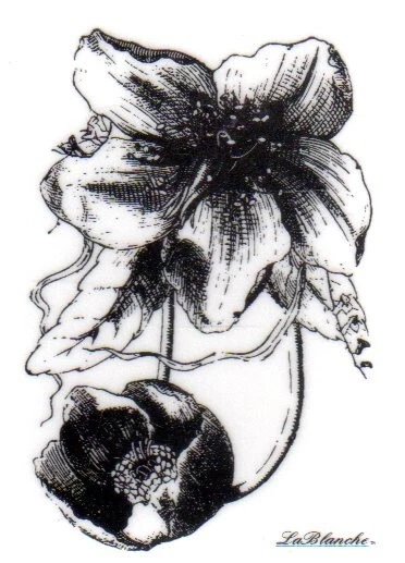 Новый LA BLANCHE силиконовый резиновый штамп цветок и бутон ботанический Бесплатная доставка по США - Изображение 1 из 2