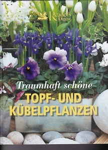 Traumhaft schöne Blumen - Bild 1 von 1