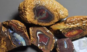 Boulder Opal Rough Parcel Yowah Nuts Lapidary 547.7 Cts Australian Blue Purple - Picture 1 of 22