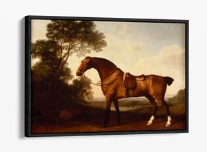 A SADDLED BAY HUNTER -FLOAT EFFECT CANVAS WALL ART PICTURE PRINT- HORSE PAINTING - Picture 1 of 12