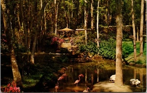 Postcard Bellingrath Gardens - Theodore Alabama - Flamingos, Swans - Picture 1 of 2