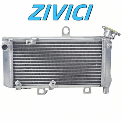 Radiador de aluminio para Yamaha XT660R XT660X XT 660R XT 660X 2004 2005-2014 2013 Foto 1 de 4