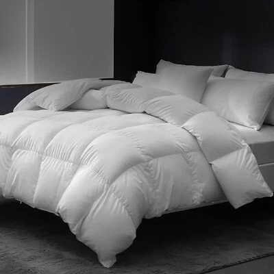 East Coast Bedding 100% Cotton Goose Down and Feather Comforter - Image 1 of 4