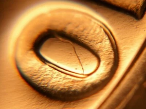 1969-S Pr DDR Roosevelt Dime - Picture 1 of 7