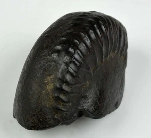Sudarsahan Shaligramm Nepal 181 Gramm / 2,96 Zoll - Bild 1 von 5