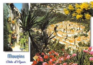 06-MOUGINS-N�3927-C/0131 - Picture 1 of 2