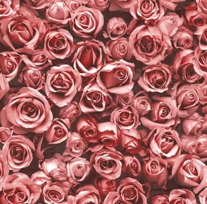 Muriva Rosalee Floral Red Wallpaper 158502 - Picture 1 of 1