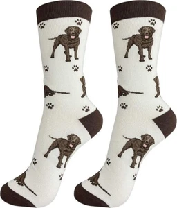 Happy Tails Chocolate Labrador Lab Socks Pet Lovers Soft Socks One Size Fit Most - Picture 1 of 3