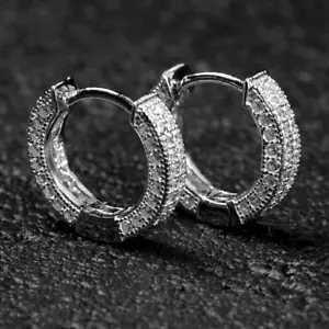 Exquisite Micro Pave 14K White Gold Plated 2 Row Iced CZ Men Women Hoop Earrings - Picture 1 of 4