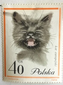 Sello postal gato Polonia - Imagen 1 de 1