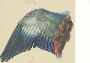 12/Postcard - Albrecht Dürer "Wings of the Mist Crow" - Picture 1 of 2