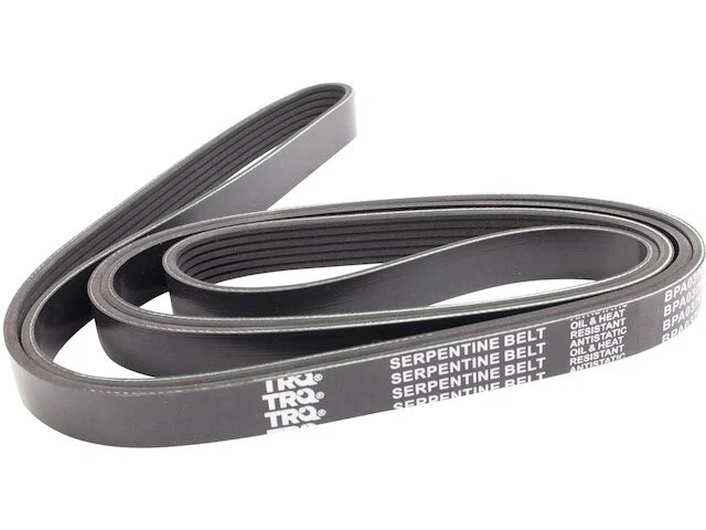 Cinturón multi costilla para GMC Sierra 3500 HD 2015-2019 6,0 L V8 2016 2017 2018 HB469QD Foto 1 de 1