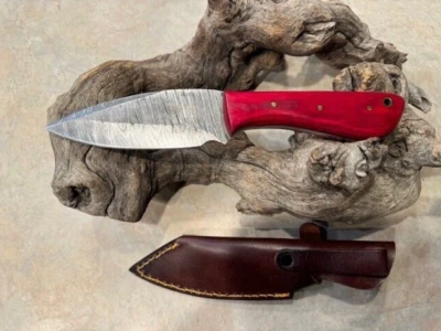 Perfect size EDC Belt hunting knife Damascus Steel w/Red wood handle - Image 1 of 3