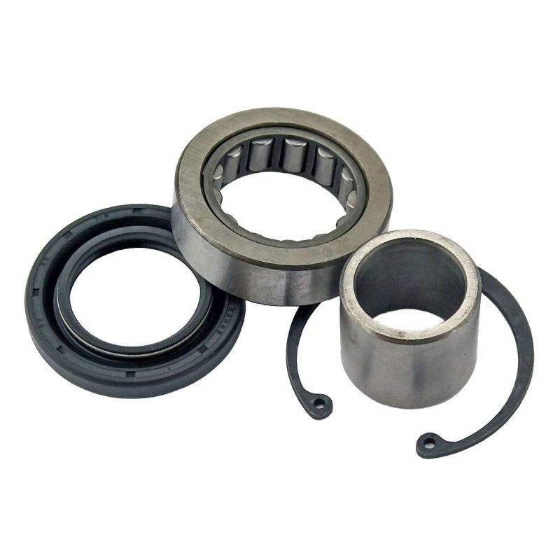 Inner Primary Bearing & Seal Kit - HD Stock 08-22 - Bild 1 von 1